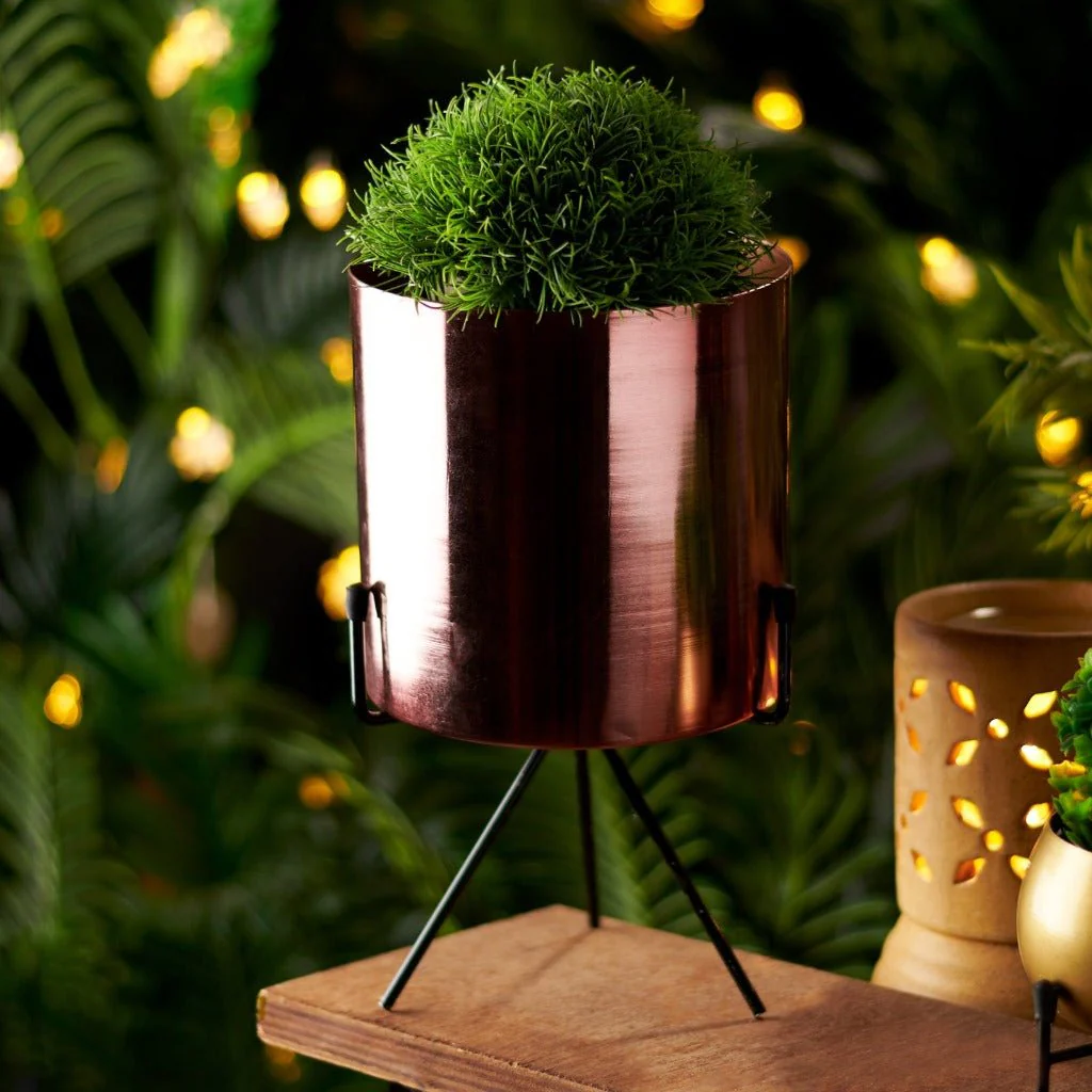 Planter stand - Cylindrical planter (Rose gold)